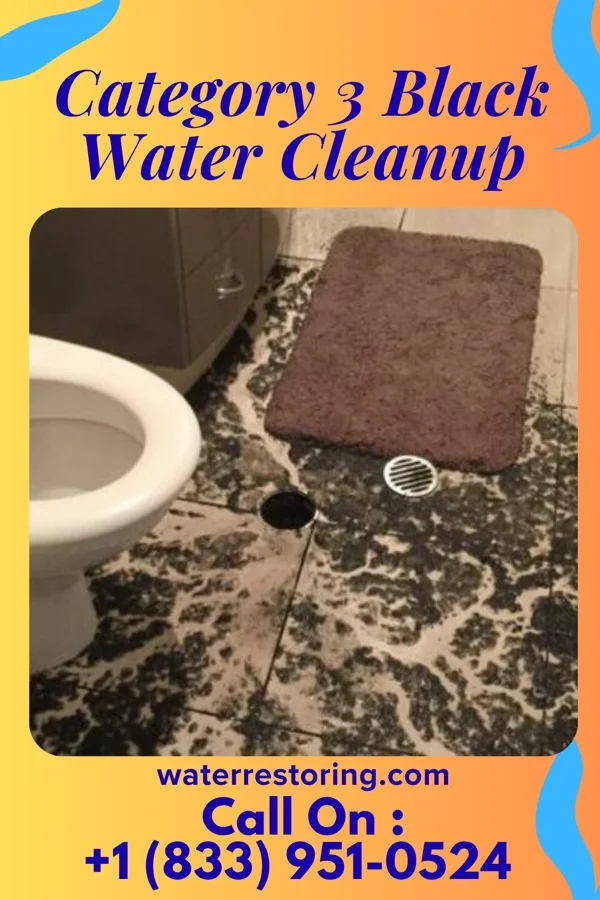 Category 3 Black Water Cleanup in Seven Mile, AZ